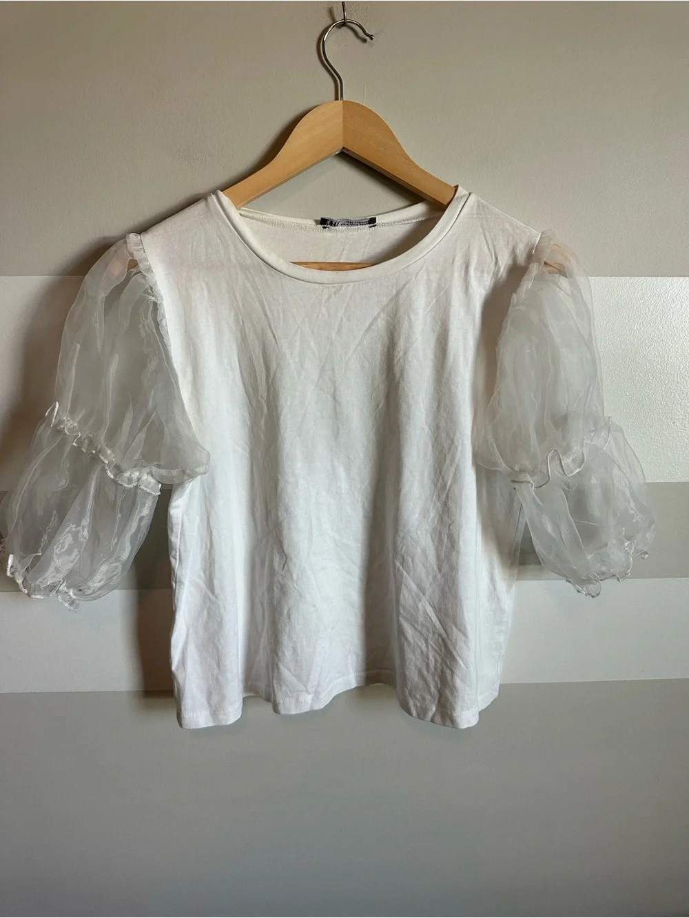 Zara Sheer Puff Sleeve Top